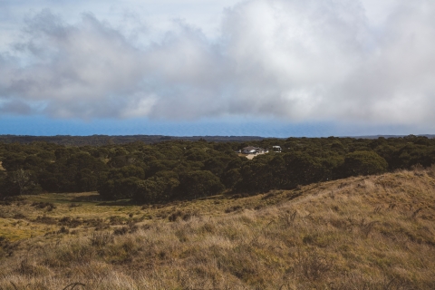 Looking out over the forest at Hakalau Forest NWR with the station visible in a small opening in the canopy.