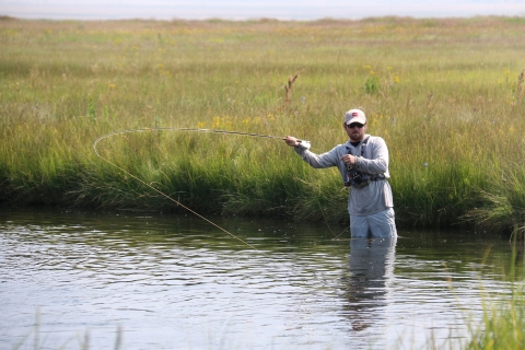 Person fly fishing in creek