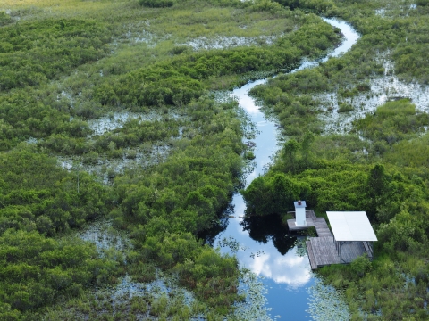 water trails through swamp; platform with cover on water's edge
