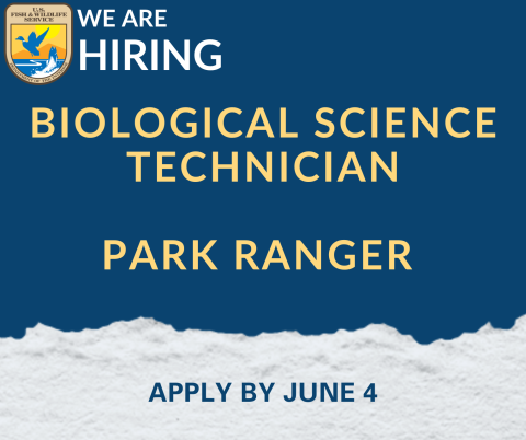 Blue graphic with the USFWS logo that reads we are hiring, biological science technician, park ranger, apply by June 4