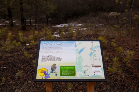 Interpretive panel for the Bluebird Trail at Turnbull NWR