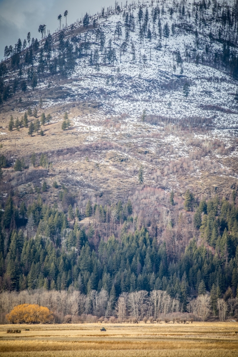The Selkirk Mountains rise prominently from the Kootenai River floodplain