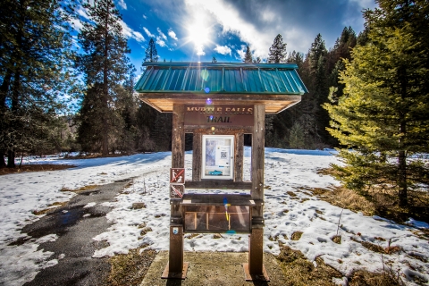 An informational kiosk at the trailhead of the Myrtle Falls Trail