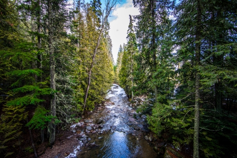 Myrtle Creek flowing out of the Selkirk Mountains