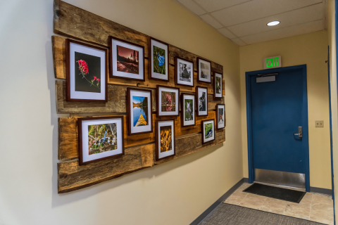 A gallery wall of photos on display at the Little Pend Oreille NWR
