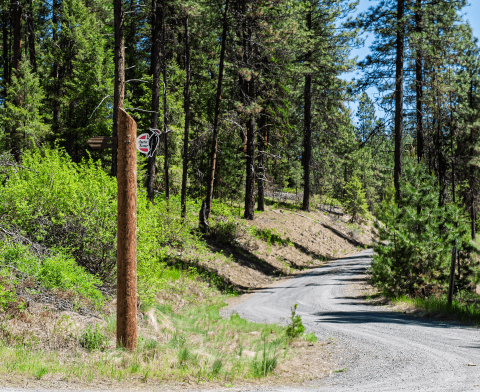A signpost decorated with a woodpecker denotes an auto tour route at Little Pend Oreille NWR