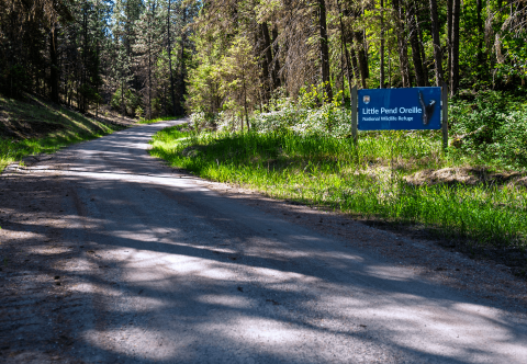 A blue entrance signs marks the beginning of the auto tour route at Little Pend Oreille NWR
