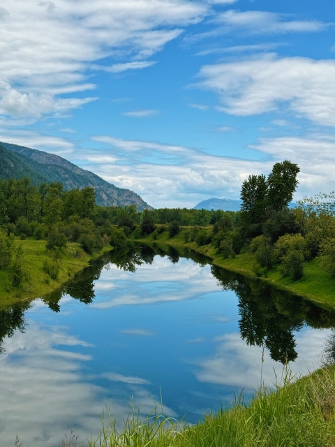 Calm waters creates a mirror reflection in Myrtle Creek