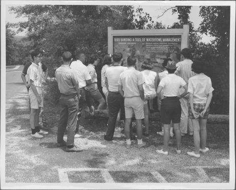 Group of about 13 people (most appear to be youths) gathered around a large wayside sign that features the subject heading "Bird Banding: A Tool of Waterfowl Management". Behind the sign is a wooded area. The area appears to be on the edge of a parking area. The people are dressed in comfortable clothes (e.g. shorts, short-sleeved shirts) of 1960s vintage.