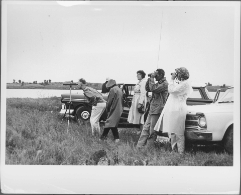 Six (6) people (3 males, 2 females) bird watching; they are positioned in front of 2 cars of 1960s vintage. The two people on the left are using binoculars to look at something, while a man to the left of the center peers through a monoscope that's mounted on a tripod. They are all facing to the left. A body of water is visible in the background, with trees are scattered across the opposite shore.