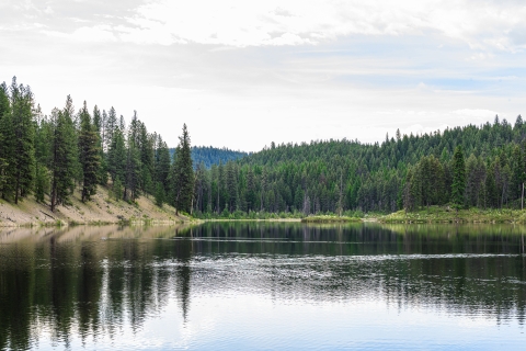 A landscape photo of McDowell Lake and the surrounding forest