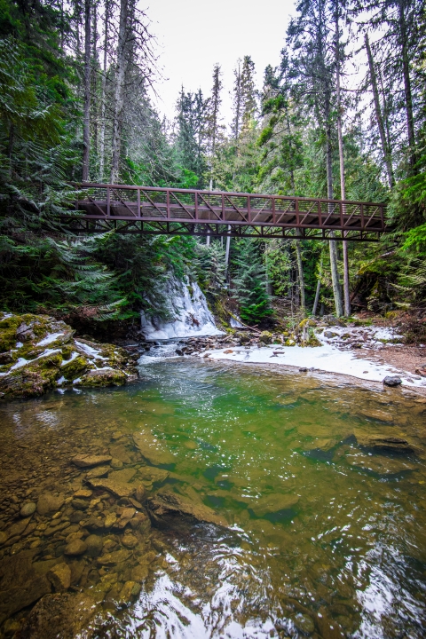 Myrtle Creek flows beneath a bridge