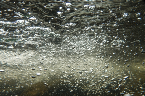 Air bubbles percolating through stream water