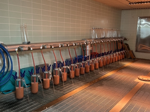 McDonald style hatching jars with Kokanee eggs in Hatchery's isolation room