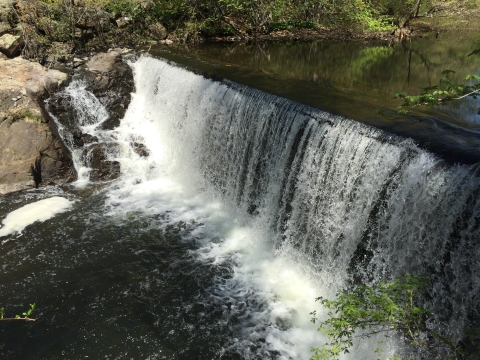 A dam with water spilling over in a river