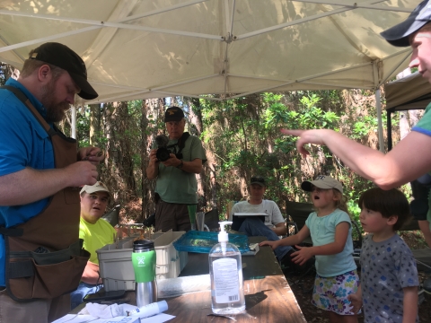 Public bird banding research station on Alabama. Two children and one adult look on as male researcher bands the bird in his hand.