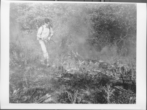A man walking through an area which features heavy underbrush and vegetation, and the brush in front of him is visibly on fire (smoke is plainly visible). The man has fire-fighting equipment strapped to his back, and is carrying the nozzle of a device to spray water