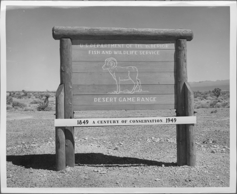 View of a large sign, constructed from wooden logs (the support posts/legs and frame) and planks (the main part of the sign), in a desert environment. The sign reads "U.S. DEPARTMENT OF THE INTERIOR FISH AND WILDLIFE SERVICE DESERT GAME RANGE". In the center of the sign is the image of a Desert Bighorn Sheep in profile. Just below the main part of the sign is a long, lightly-colored plank that reads "1849 A CENTURY OF CONSERVATION 1949". Some scrubby desert plants are visible in the background.