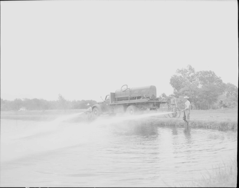 A large pool of water in the foreground, extending into the middle distance on the far left. On shore the in the middle are two men each using an apparatus that consists of the metal pole and a flexible hose; they are spraying a chemical substance on to the surface of the water. In the center between them is a pickup truck (of 1940s vintage) with a large rectangular tank in the flatbed. Another man stands behind the truck, holding one or two hoses.