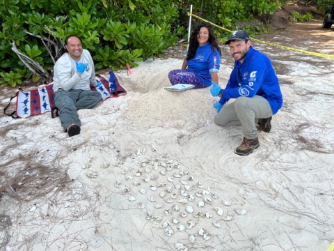 Kupu members work with Guam NWR Biologist with a sea turtle nest inventory