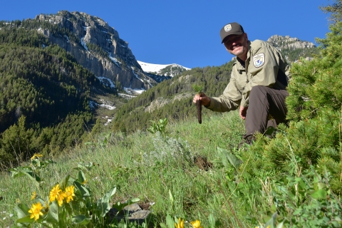 A person is shown holding a tree seedling with a mountain in the background.