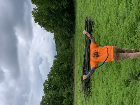 A Tribal artisan carries a bundle of river cane during a harvest trip