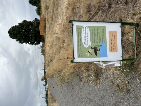 Sign along gravel trail with large pine tree in the background