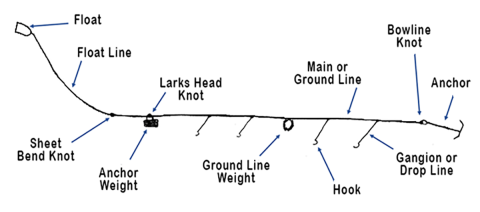 Trot Line Detail