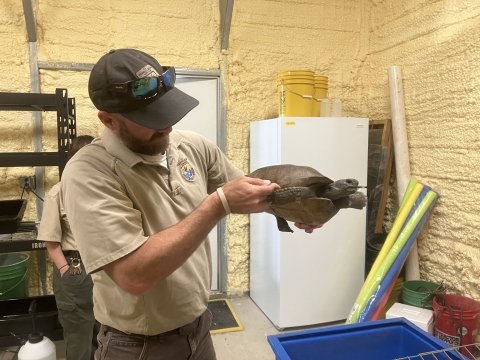 A man holds a tortoise inside a building.