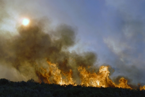 Shrub-steppe Wildfire
