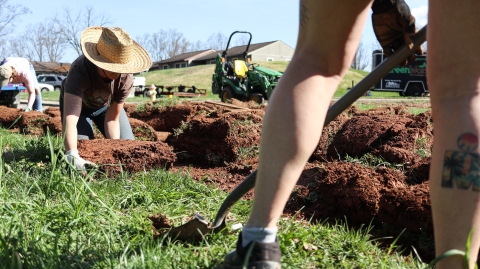 Three people pulling up sections of grass.