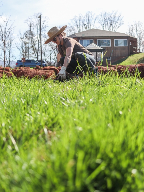 Person crouching down grabbing a section of grass sod