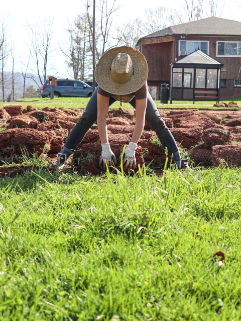 Person reaching down pulling up sections of grass
