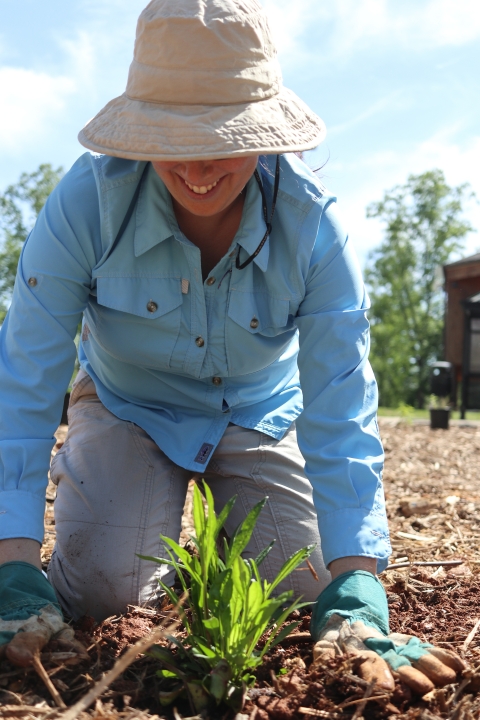Woman kneeling on the ground beside a plant
