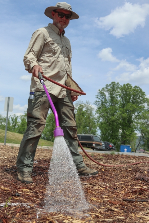 Man standing on fresh mulch, holding a hose, watering a plant