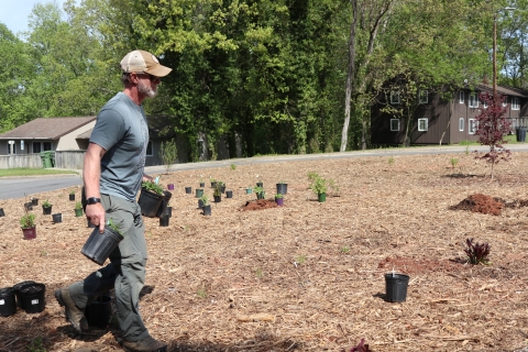 Man carrying potted plants across an area scattered with potted plants