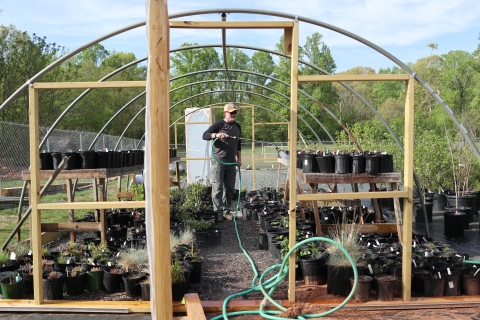 Man holding a garden hose watering potted plants
