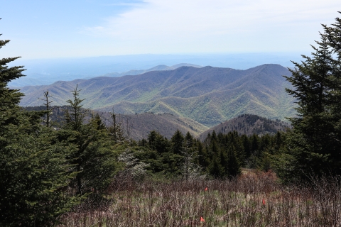 Field with sporadic orange flags and rolling mountains in the background