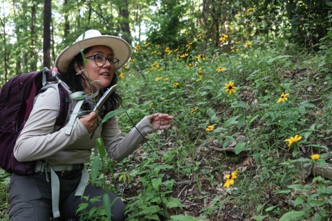 Woman standing on the edge of a forest, wearing a sun hat and carrying a backpack
