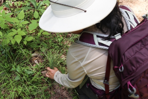 Biologists kneeling down holding a plant