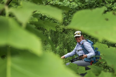 Woman walking through a forest