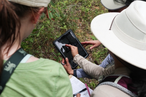 Three people, outdoors, looking at a tablet screen