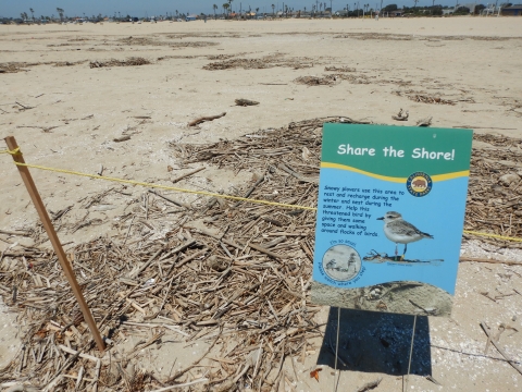 California State Parks sign to educate beachgoers about threatened western snowy plover habitat at Huntington Beach, California.