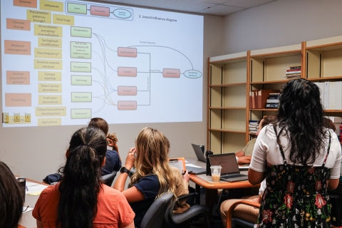 Group of people looking at a diagram on a screen