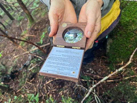 Person holding a round, convex mirror in their hand, reflecting for forest canopy
