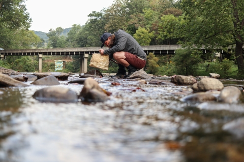 Man kneeling on a rock in a river, looking into a small net