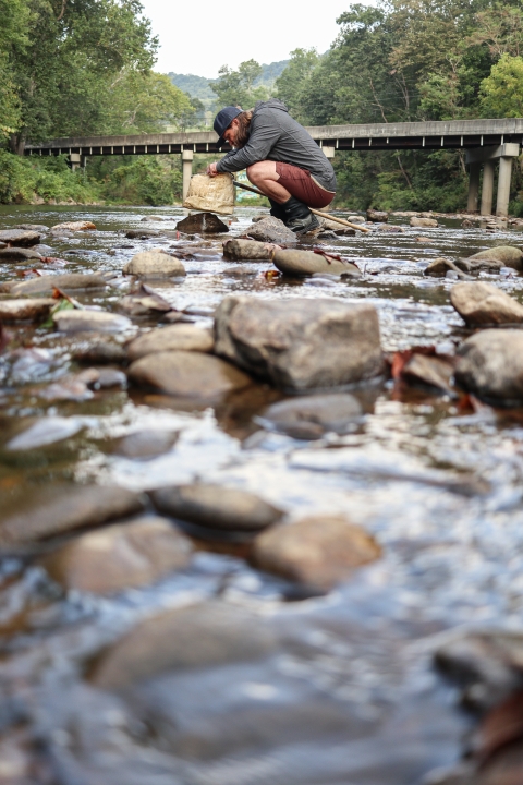 Man kneeling on a rock in a river holding a small net