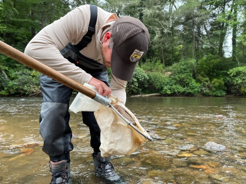 Man standing in a river, bending over as he looks into a small net