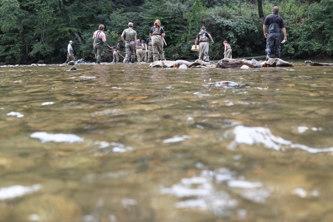 Numerous people wearing waders and standing in a shallow river
