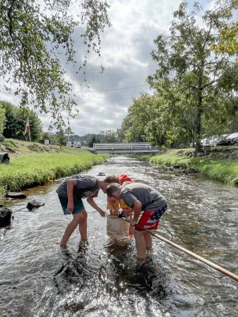Three young people around a net in a small stream